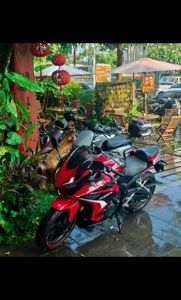 二手本田CBR400R