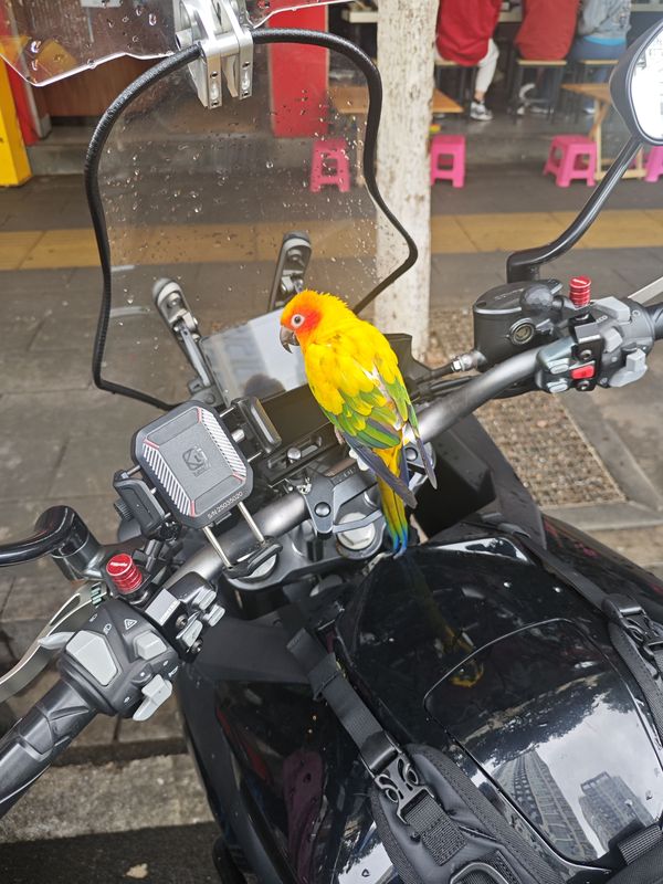 二手升仕350X