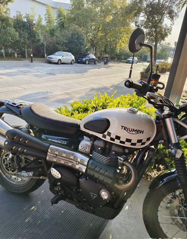 二手凯旋Scrambler 900