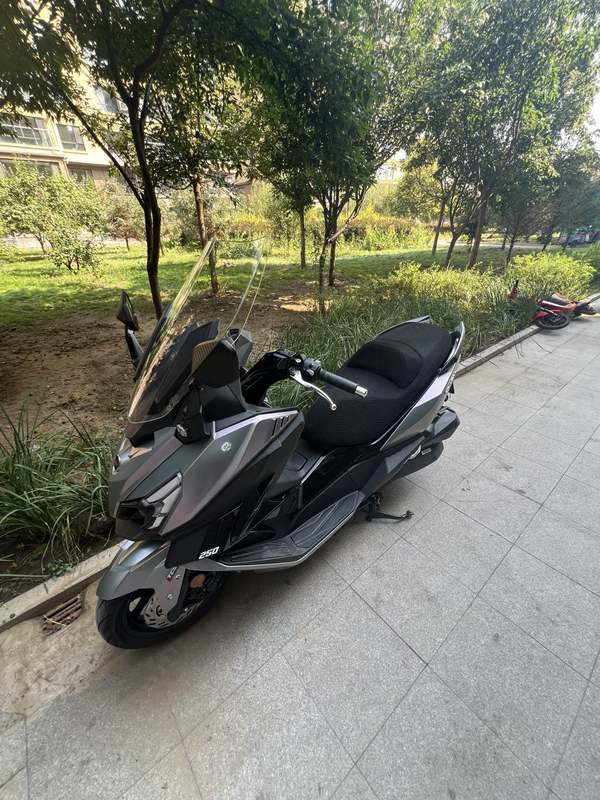 二手三阳巡弋 Cruisym250