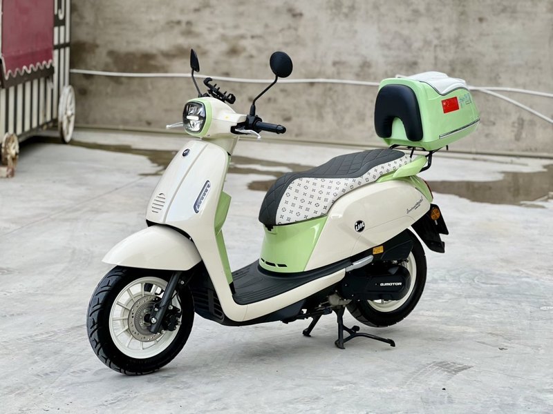 二手QJMOTOR阳光壹米