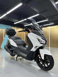 二手三阳Joymax Z 300