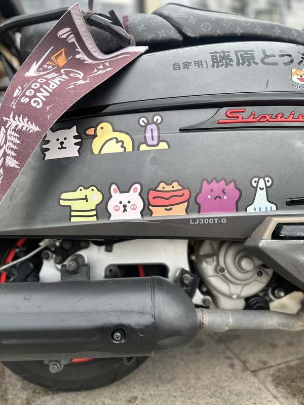 二手维多利亚Sixties 300i
