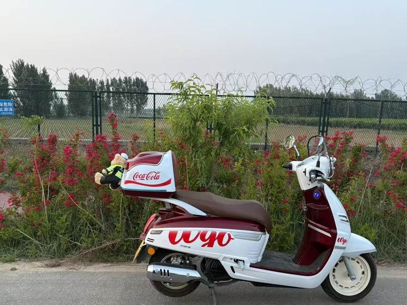 二手破界戈王