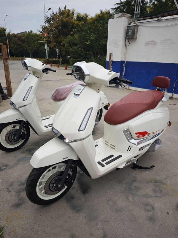 二手QJMOTOR阳光迪诺