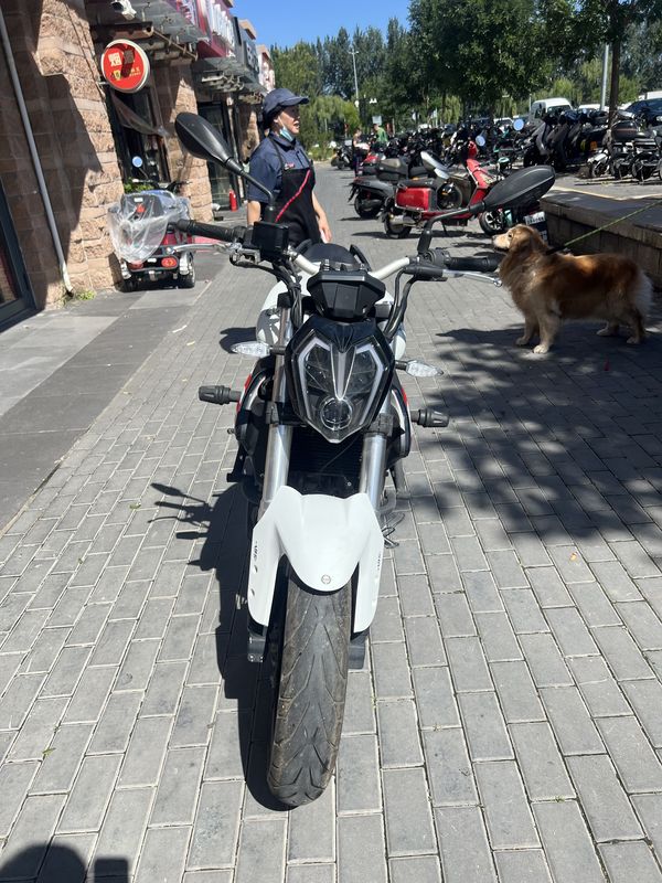 二手贝纳利蓝宝龙 BN302S