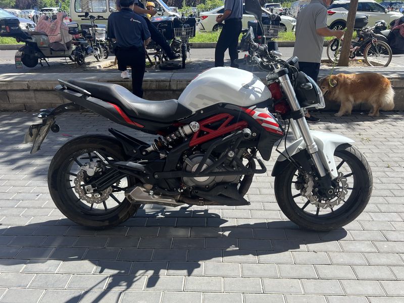 二手贝纳利蓝宝龙 BN302S