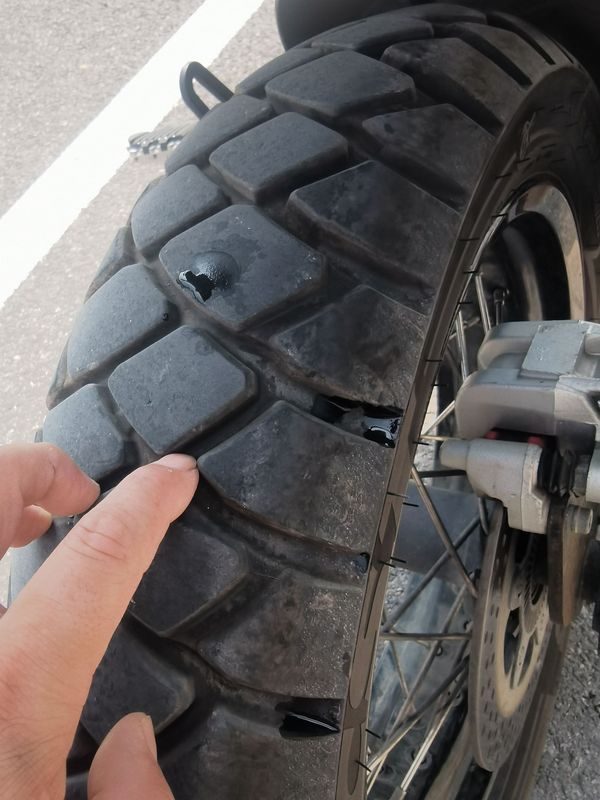 二手贝纳利幼狮 Leoncino 500