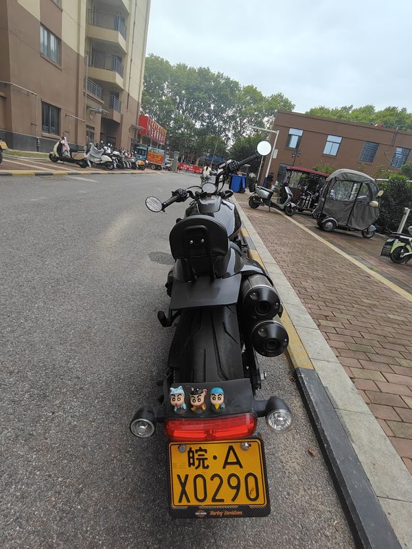 二手哈雷戴维森Sportster S