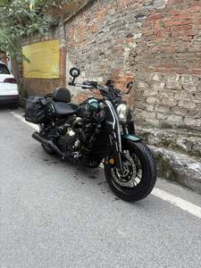 二手赛科龙RA600