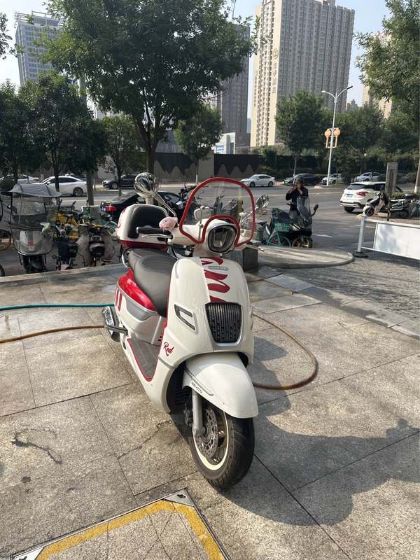 二手南方梦拉丽莎 飞戈