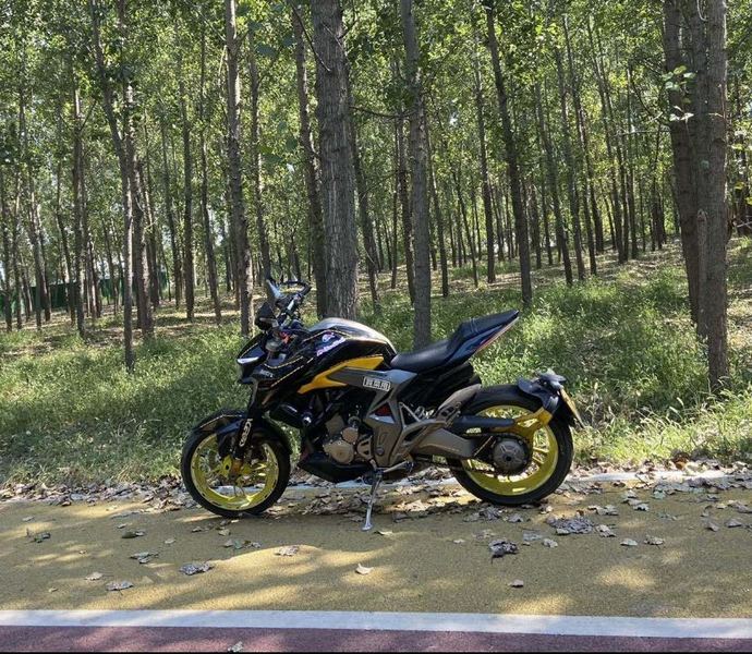 二手升仕310R