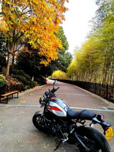 二手雅马哈XS900R