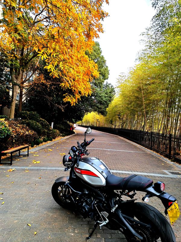 二手雅马哈XS900R