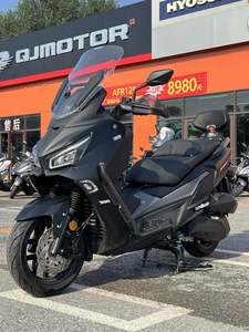 二手三阳Joymax Z 300