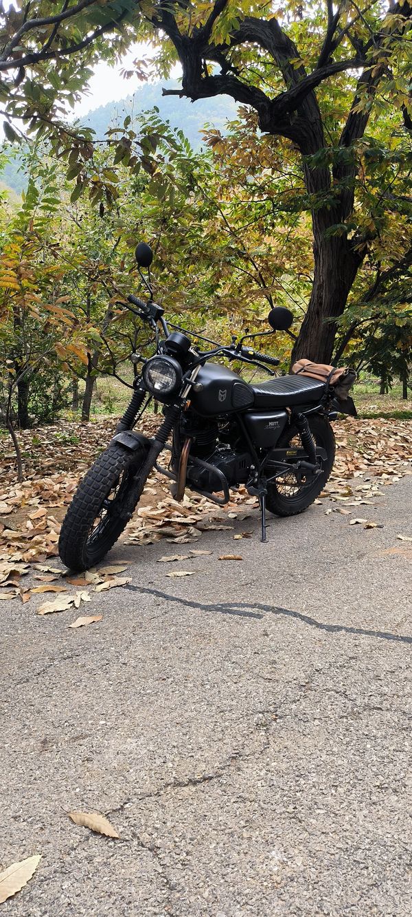 二手轻骑U侠 大脚攀爬者