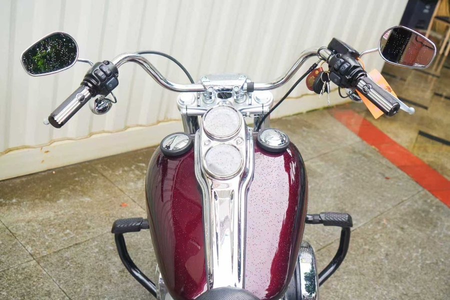 二手哈雷戴维森路威 Low Rider S