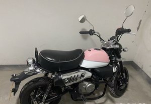 二手斯托纳猿猴