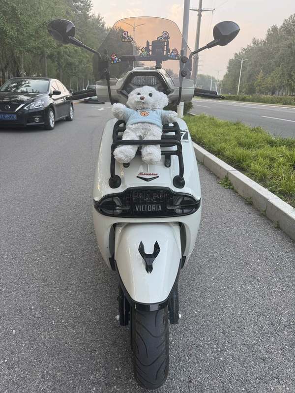 二手维多利亚Sixties 150Si