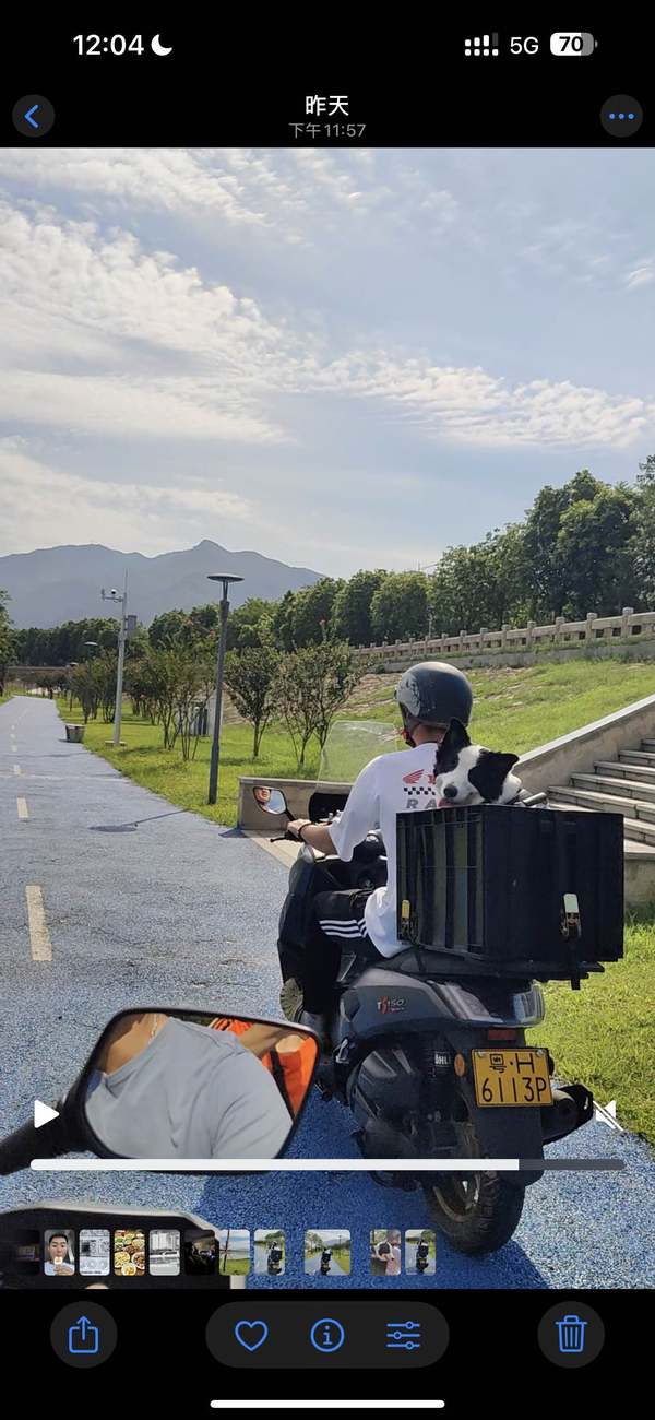 二手天鹰TS