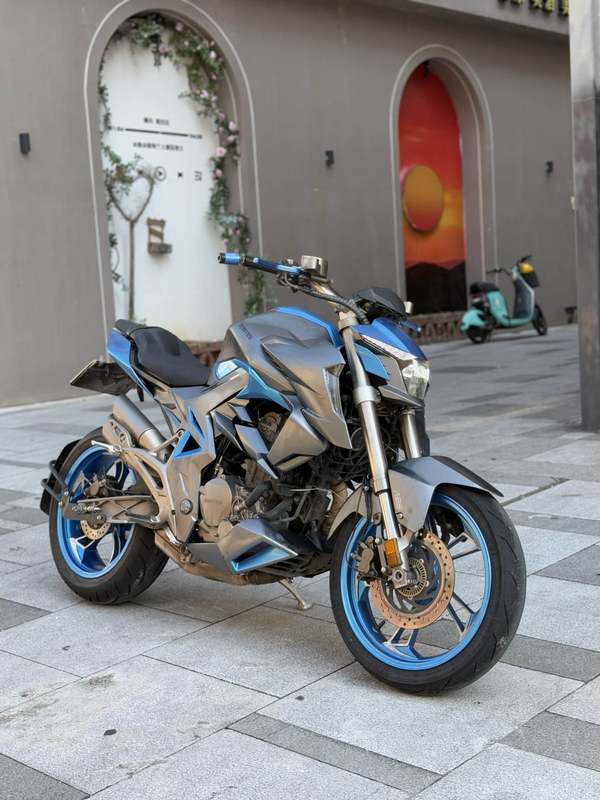 二手升仕310R