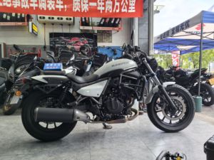 二手川崎Eliminator 500