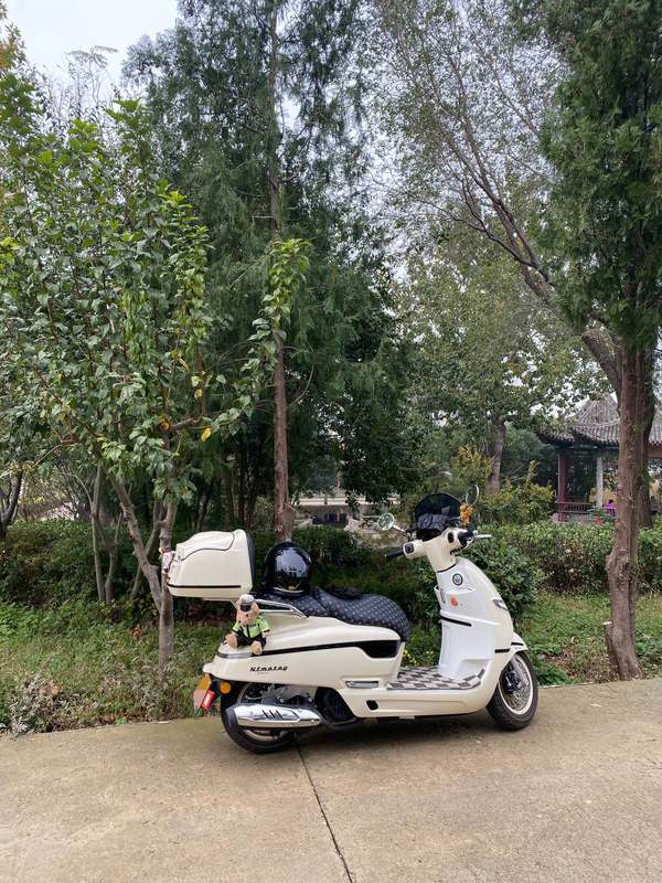 二手南方梦拉丽莎 飞戈
