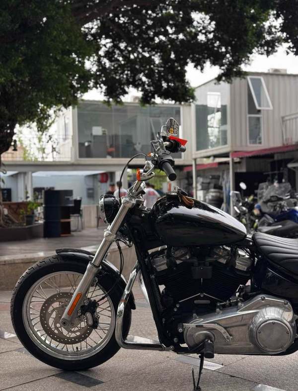 二手哈雷戴维森Softail Standard