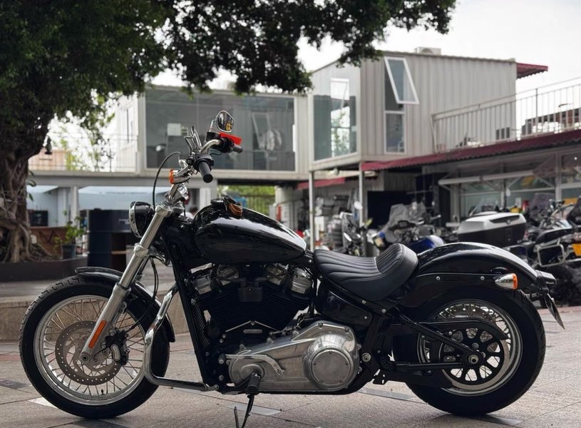 二手哈雷戴维森Softail Standard