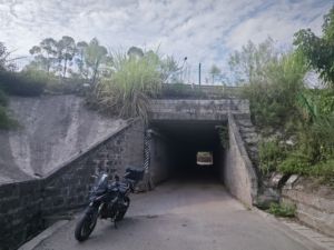 二手贝纳利金鹏 TRK251