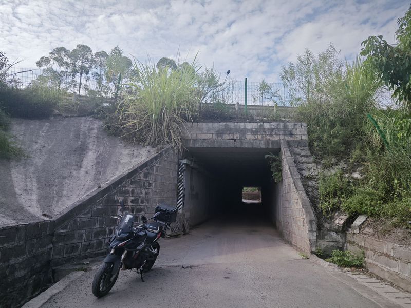 二手贝纳利金鹏 TRK251