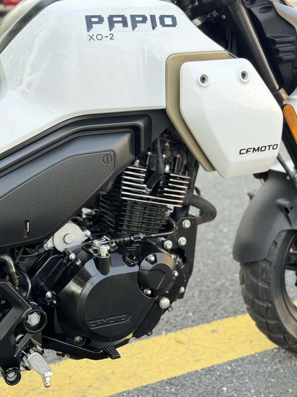 二手春风XO狒狒