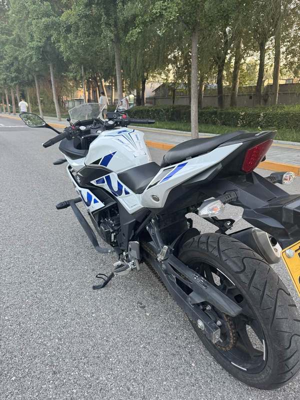 二手豪爵铃木GSX250R