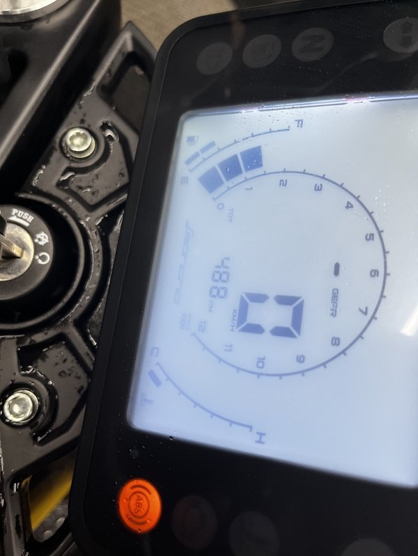 二手贝纳利幼狮 Leoncino 250