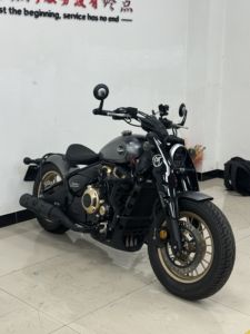 二手赛科龙RA600