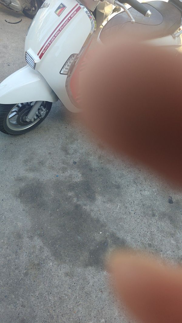 二手摩途威拉比 Labei