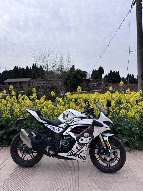 二手无极250RR
