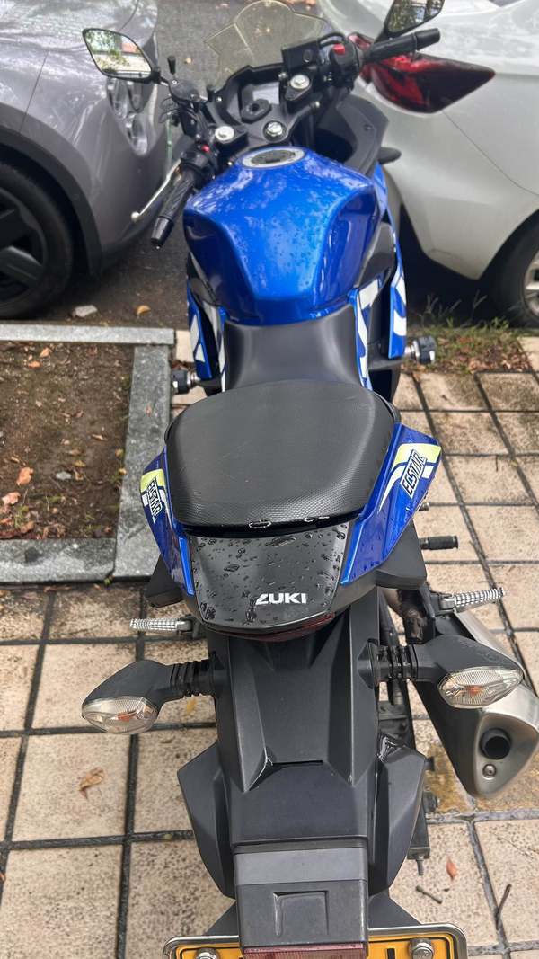 二手豪爵铃木GSX250R