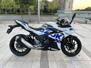 二手豪爵铃木GSX250R
