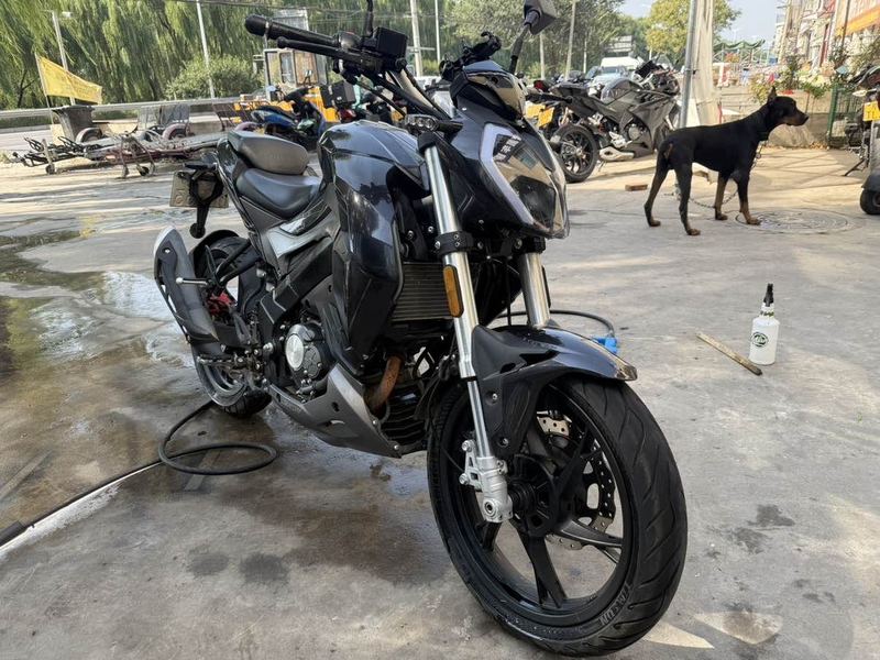 二手贝纳利小迅龙 BN150S