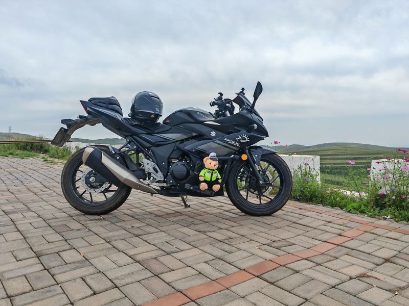 二手豪爵铃木GSX250R