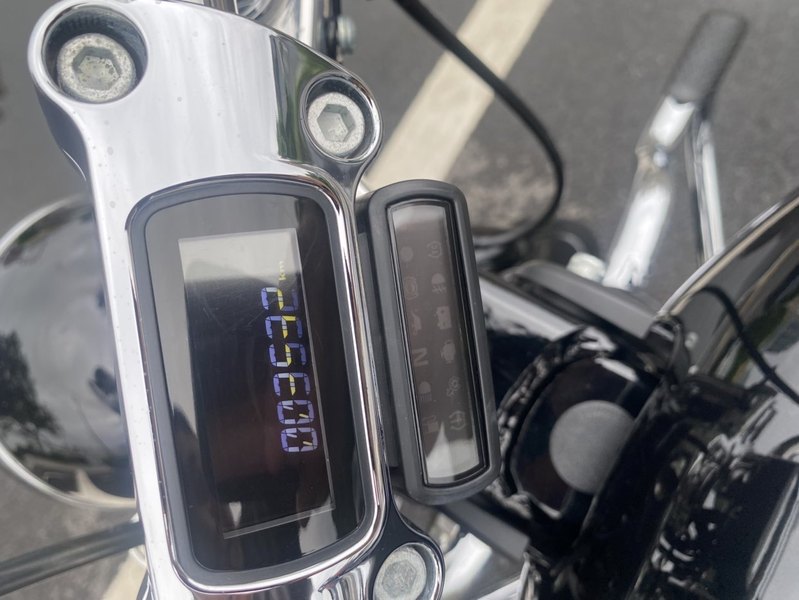 二手哈雷戴维森Softail Standard