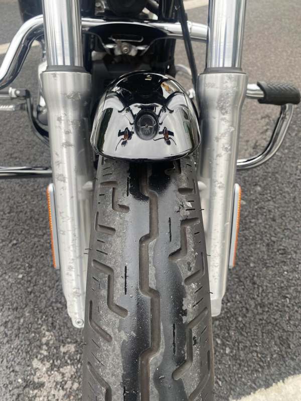 二手哈雷戴维森Softail Standard