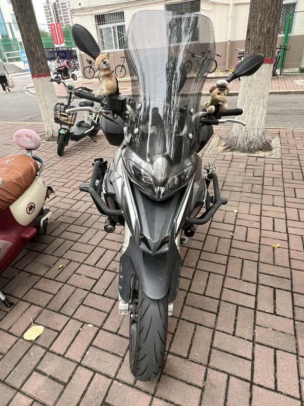 二手贝纳利金鹏 TRK251