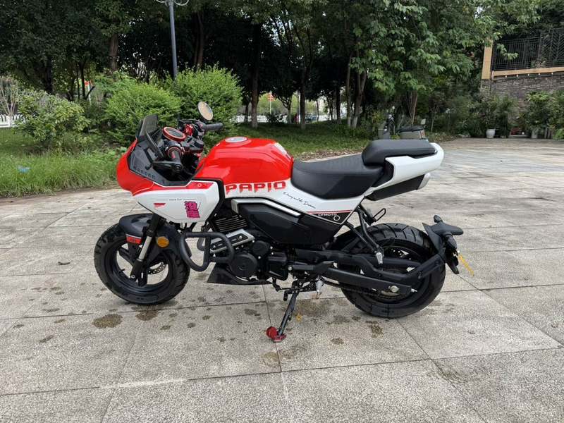 二手春风XO狒狒