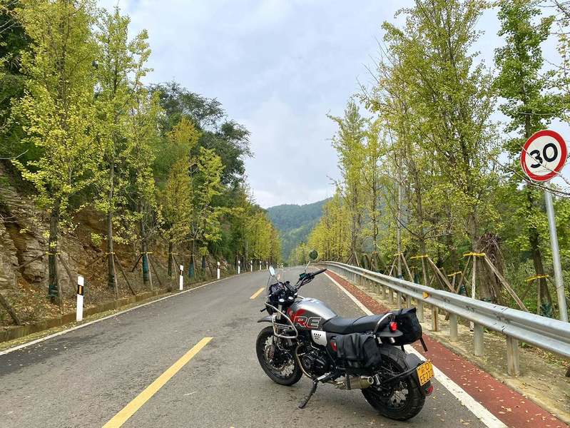 二手赛科龙RE3 Scrambler