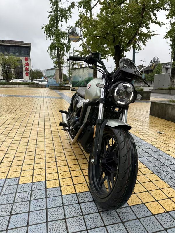 二手赛科龙RE3