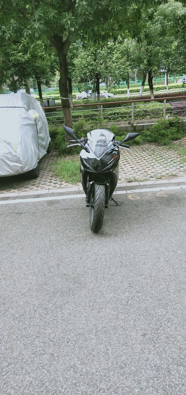 二手凯越250RR 刺鸟
