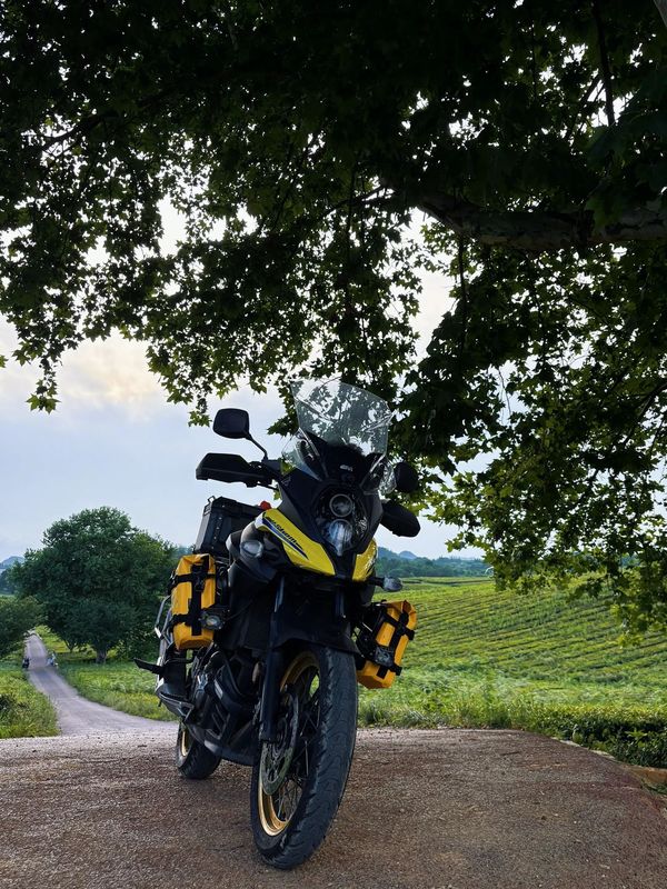 二手铃木V-Strom 650