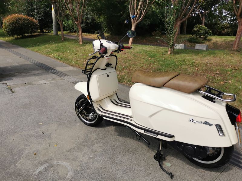 二手ROYAL ALLOYGP200S